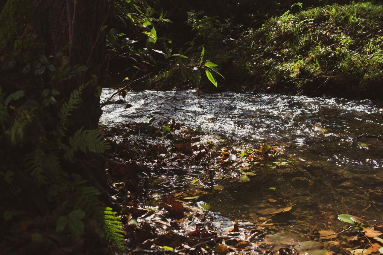 Agroturismo Araize Мунгия Экстерьер фото