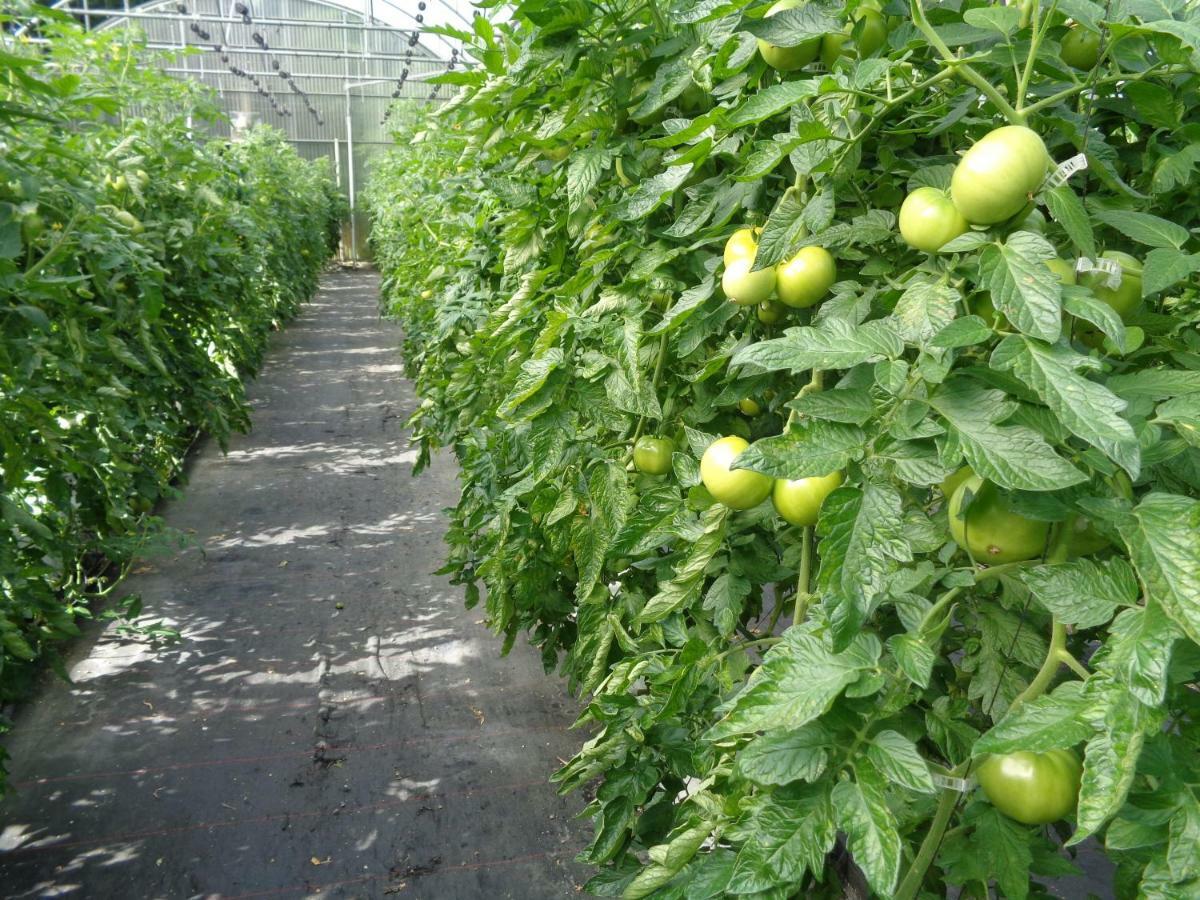 Agroturismo Araize Мунгия Экстерьер фото